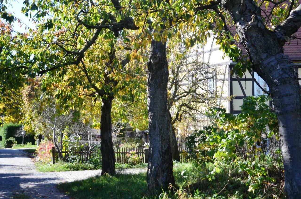 Hochlandappartement Дрезден Екстериор снимка